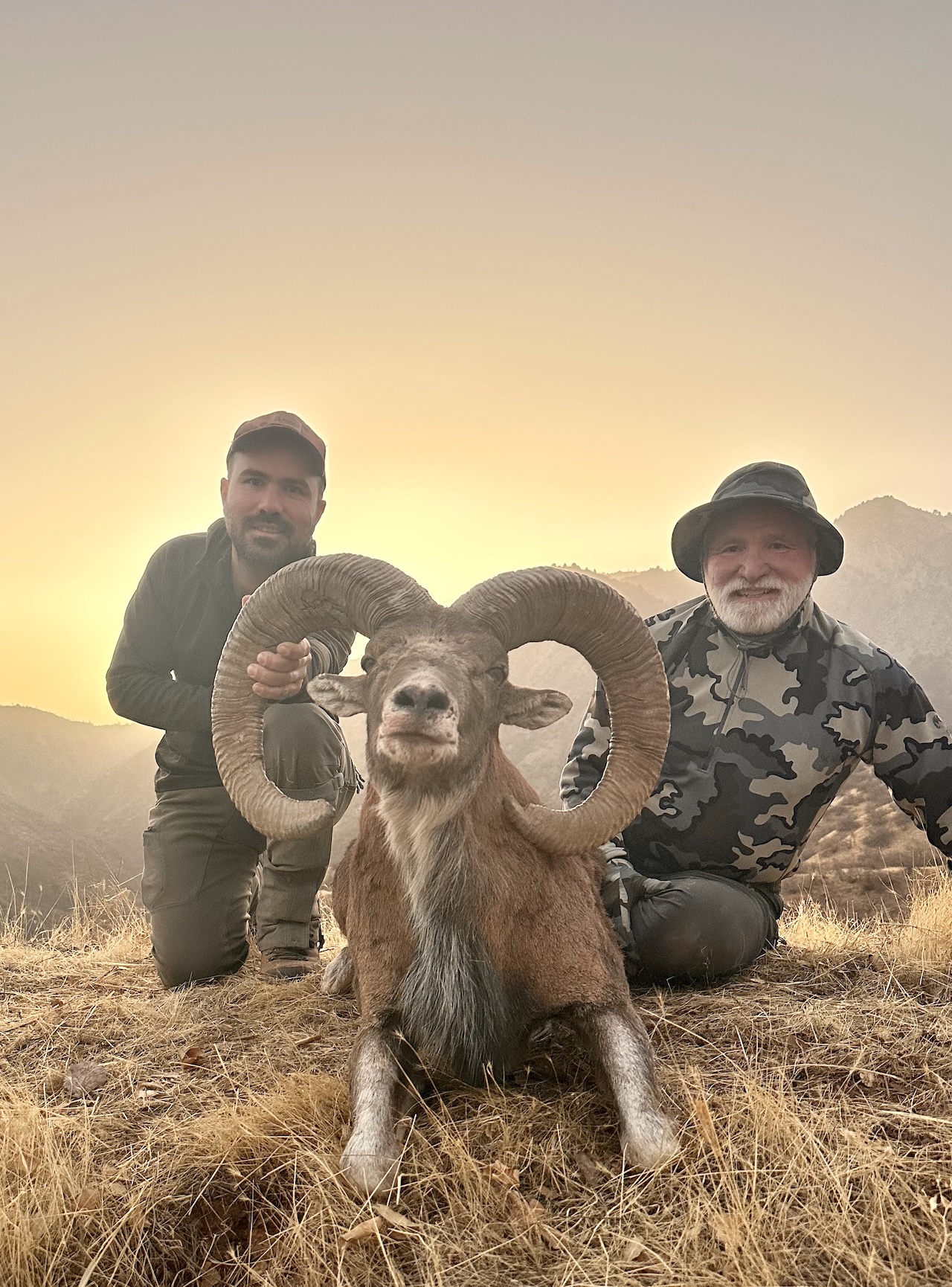 Alt Text is good for SEO